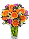 Bouquet misto colorato